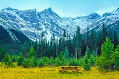 Best seat in the house Stock Image Best seat in the house Stock Image