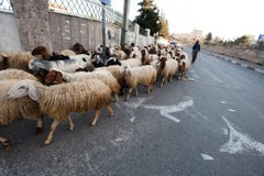 bethlehem baca zdjęcie stock bethlehem baca zdjęcie stock