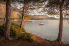 Betlem, κοντά Colonia de Sant Pere, όρμος, κολπίσκος, βάρκα, γιοτ, δέντρα, παραλία, φύση, σούρουπο, ηλιοβασίλεμα, αντανάκλαση στη στοκ φωτογραφίες Betlem, κοντά Colonia de Sant Pere, όρμος, κολπίσκος, βάρκα, γιοτ, δέντρα, παραλία, φύση, σούρουπο, ηλιοβασίλεμα, αντανάκλαση στη στοκ φωτογραφίες