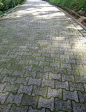 Betonblockfu?weg im Park lizenzfreies stockfoto Betonblockfu?weg im Park lizenzfreies stockfoto