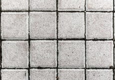 Betonuje bruków kamienie lub brukuje szare cegiełki lub zdjęcie royalty free Betonuje bruków kamienie lub brukuje szare cegiełki lub zdjęcie royalty free