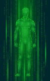Bevindende cyberspace van de Humanoid androïde mens binaire code Het lage poly veelhoekige menselijke lichaam van de robotkunstma royalty-vrije illustratie Bevindende cyberspace van de Humanoid androïde mens binaire code Het lage poly veelhoekige menselijke lichaam van de robotkunstma royalty-vrije illustratie
