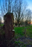 Bevroren de winterlandschap, mooie zonsondergang royalty-vrije stock fotografie Bevroren de winterlandschap, mooie zonsondergang royalty-vrije stock fotografie