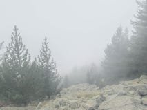 Bewaldeter Berghang in der tief liegend Wolke mit den immergrünen Kiefern im Nebel in einer szenischen Landschaftsansicht stockfotos Bewaldeter Berghang in der tief liegend Wolke mit den immergrünen Kiefern im Nebel in einer szenischen Landschaftsansicht stockfotos