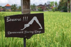 Beware of downward facing dogs` signage stock photo Beware of downward facing dogs` signage stock photo