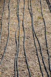 Bewässerungssystem unter Verwendung der Berieselungsanlagen auf einem bebauten Gebiet stockfoto Bewässerungssystem unter Verwendung der Berieselungsanlagen auf einem bebauten Gebiet stockfoto