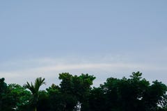 Bewölkter Himmel mit Baum stockbild Bewölkter Himmel mit Baum stockbild