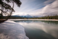 Bezinningen onder de bomen van de Athabasca-Rivier, Jaspis stock foto Bezinningen onder de bomen van de Athabasca-Rivier, Jaspis stock foto