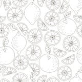 bezszwowy citrus wzoru Owocowy wektorowy tło Czarny i biały tło z cytryną i pomarańcze Naturalny i zdrowy Obrazy Stock bezszwowy citrus wzoru Owocowy wektorowy tło Czarny i biały tło z cytryną i pomarańcze Naturalny i zdrowy Obrazy Stock