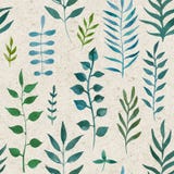 Bezszwowy naturalny botaniczny akwarela wzór ilustracji Bezszwowy naturalny botaniczny akwarela wzór ilustracji