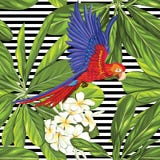 Bezszwowy wzór, ręka rysujący tło z białym plumeria ilustracji Bezszwowy wzór, ręka rysujący tło z białym plumeria ilustracji