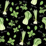 Bezszwowy wzór zieleni warzywa z literowaniem: cebula, pietruszka, basil i bok choy, akwarela obraz ilustracji Bezszwowy wzór zieleni warzywa z literowaniem: cebula, pietruszka, basil i bok choy, akwarela obraz ilustracji