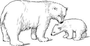 Biały niedźwiedź z lisiątkiem ilustracja wektor Biały niedźwiedź z lisiątkiem ilustracja wektor