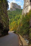 Bicaz gorge: curved road and vertical walls