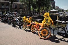 Bicicletta del fiore a Amsterdam immagine stock libera da diritti Bicicletta del fiore a Amsterdam immagine stock libera da diritti