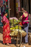 Bicycle Fruit Shop Stock Photo Bicycle Fruit Shop Stock Photo