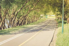 bicycle path along the park avenue/bicycle path along the park avenue in sunrise royalty free stock images bicycle path along the park avenue/bicycle path along the park avenue in sunrise royalty free stock images