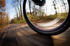 Bicycle Riding In A City Park Royalty Free Stock Image Bicycle Riding In A City Park Royalty Free Stock Image