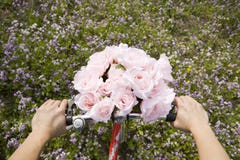 Bicycle Trip With Roses Stock Photo
