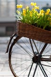 Bicycle With Flowers Royalty Free Stock Images Bicycle With Flowers Royalty Free Stock Images