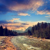 Bielovodska dolina w Wysokim Tatras, Sistani obraz stock Bielovodska dolina w Wysokim Tatras, Sistani obraz stock