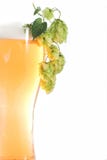 Bier und Hopfen lizenzfreie stockbilder Bier und Hopfen lizenzfreie stockbilder