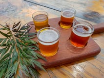 Bierprobieren im Freien stockbild Bierprobieren im Freien stockbild