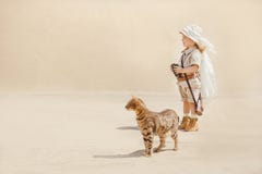 Big Adventures In Desert Royalty Free Stock Image
