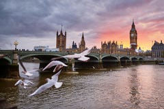 Big Ben with the Westminster Abbey and flying seagulls stock photography Big Ben with the Westminster Abbey and flying seagulls stock photography