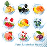 Big collection of fruit in a water splash icons. Pineapple, mango,peach, guava, blueberry stock illustration Big collection of fruit in a water splash icons. Pineapple, mango,peach, guava, blueberry stock illustration