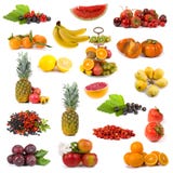 Big Collection Of Fruits Stock Photo