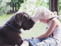 A big dog and a child in a funny hat. royalty free stock photography A big dog and a child in a funny hat. royalty free stock photography