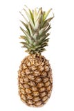 Big Pine Apple Isolated Royalty Free Stock Images