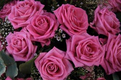 Big Pink Roses In A Bridal Bouquet Stock Photo