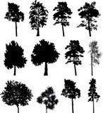 Big Set Isolated Trees - 2 Stock Photo Big Set Isolated Trees - 2 Stock Photo