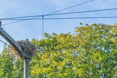 Big storks nest build on a pole at the train railway between the power cables royalty free stock photography Big storks nest build on a pole at the train railway between the power cables royalty free stock photography