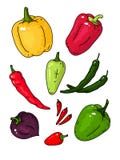 Big vector set with different varieties of pepper. royalty free illustration Big vector set with different varieties of pepper. royalty free illustration