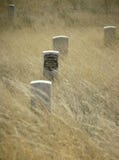 bighorncustergeorge gravestone little royaltyfria foton bighorncustergeorge gravestone little royaltyfria foton