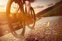 bike la prospettiva biking della montagna delle mani della foresta del fuoco del campo di profondità del ciclista poco profonda fotografie stock bike la prospettiva biking della montagna delle mani della foresta del fuoco del campo di profondità del ciclista poco profonda fotografie stock