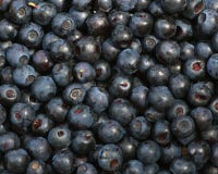 Bilberry Bilberry