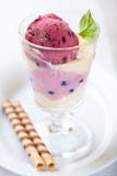 Bilberry Sorbet And Vanilla Ice Cream In A Glass Royalty Free Stock Image Bilberry Sorbet And Vanilla Ice Cream In A Glass Royalty Free Stock Image