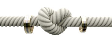 Bind de Knoop met Trouwringen stock illustratie Bind de Knoop met Trouwringen stock illustratie