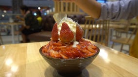 Bingsu ogolony lód z nieznacznie dojną śmietanką nakrywającą z kremowym serem i świeżą truskawką Kobiety ręka kondensujący mleko zbiory Bingsu ogolony lód z nieznacznie dojną śmietanką nakrywającą z kremowym serem i świeżą truskawką Kobiety ręka kondensujący mleko zbiory