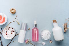Bio cosméticos orgânicos com ingredientes ervais O extrato natural de aumentou, óleos, soro Copie o espaço, configuração do plano fotografia de stock Bio cosméticos orgânicos com ingredientes ervais O extrato natural de aumentou, óleos, soro Copie o espaço, configuração do plano fotografia de stock
