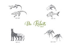 Bio robots - robot fish, dog, spider and gecko vector concept set royalty free illustration Bio robots - robot fish, dog, spider and gecko vector concept set royalty free illustration