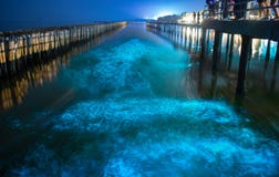 Bioluminescentie in nacht blauw zeewater Blauwe fluorescente golf van bioluminescent plankton over mangrovebos in Khok Kham, Samu royalty-vrije stock afbeelding Bioluminescentie in nacht blauw zeewater Blauwe fluorescente golf van bioluminescent plankton over mangrovebos in Khok Kham, Samu royalty-vrije stock afbeelding