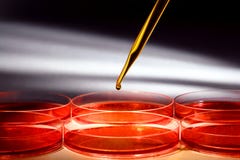 Biotechnology Experiment in Science Research Lab royalty free stock image Biotechnology Experiment in Science Research Lab royalty free stock image