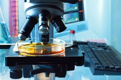 Biotechnology laboratory with a microscope analyzing a plate