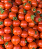 Biotomaten lizenzfreies stockbild Biotomaten lizenzfreies stockbild