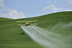 Biplane Crop Duster spraying a farm field.